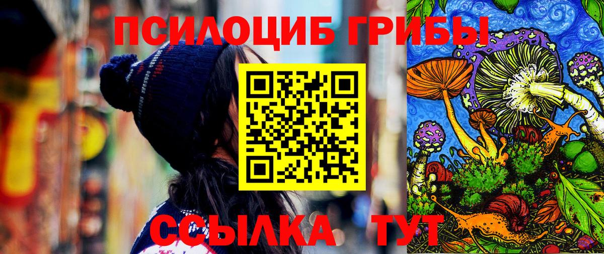 Пушкино  Псилоцибиновые грибы ЛСД  Вход с VPN 
