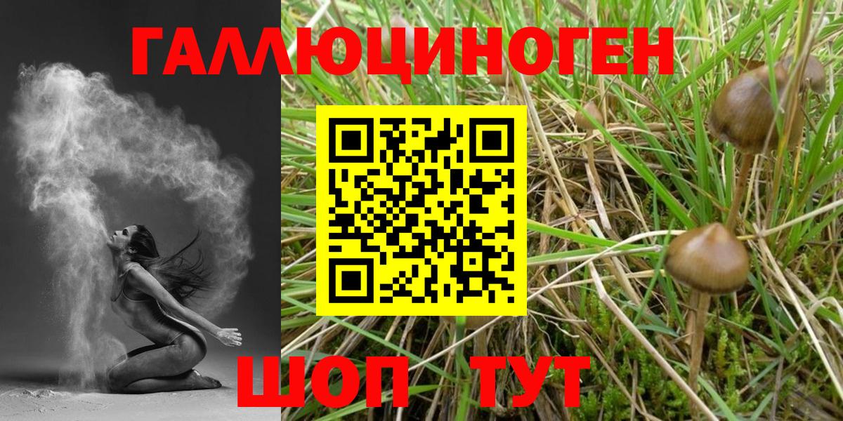 Галлюциногенные грибы мухоморы Пушкино